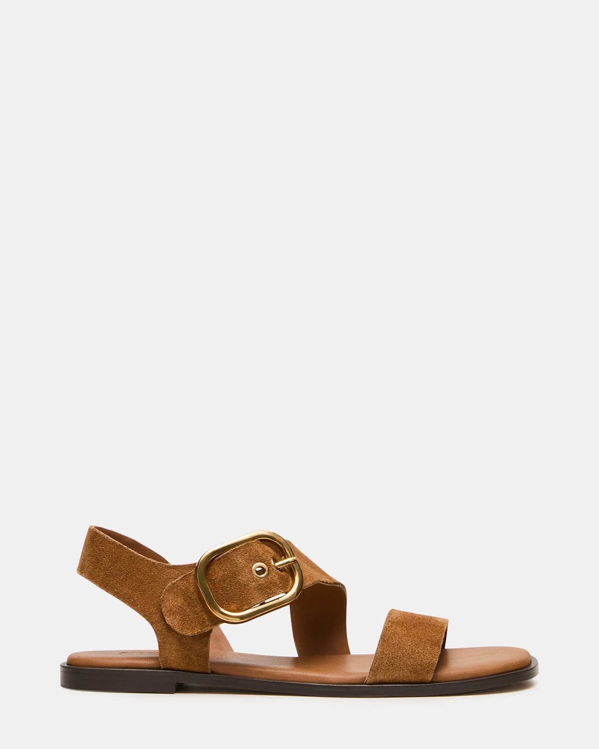 SAYER Dark Taupe Suede Square-Toe Buckle Women's Sandal | Steve Madden