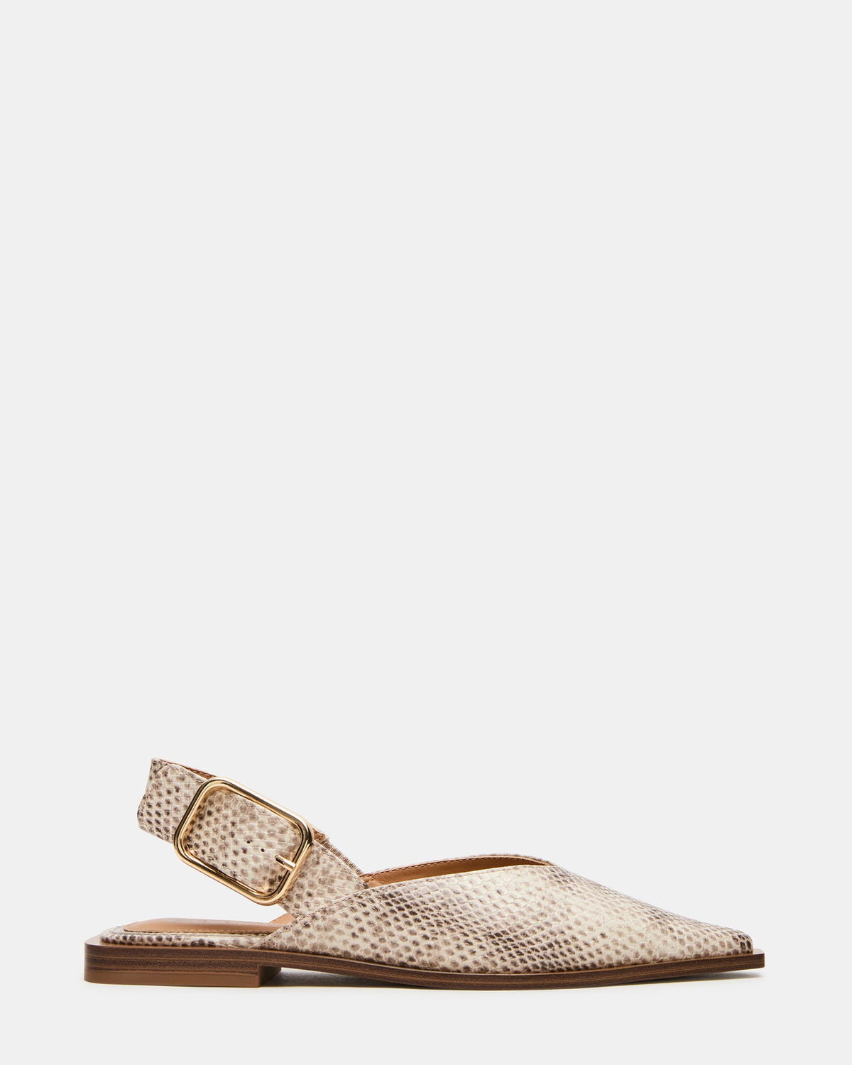 SHAY Snake Pointed-Toe Slingback Ballet Women's Flat | Steve Madden