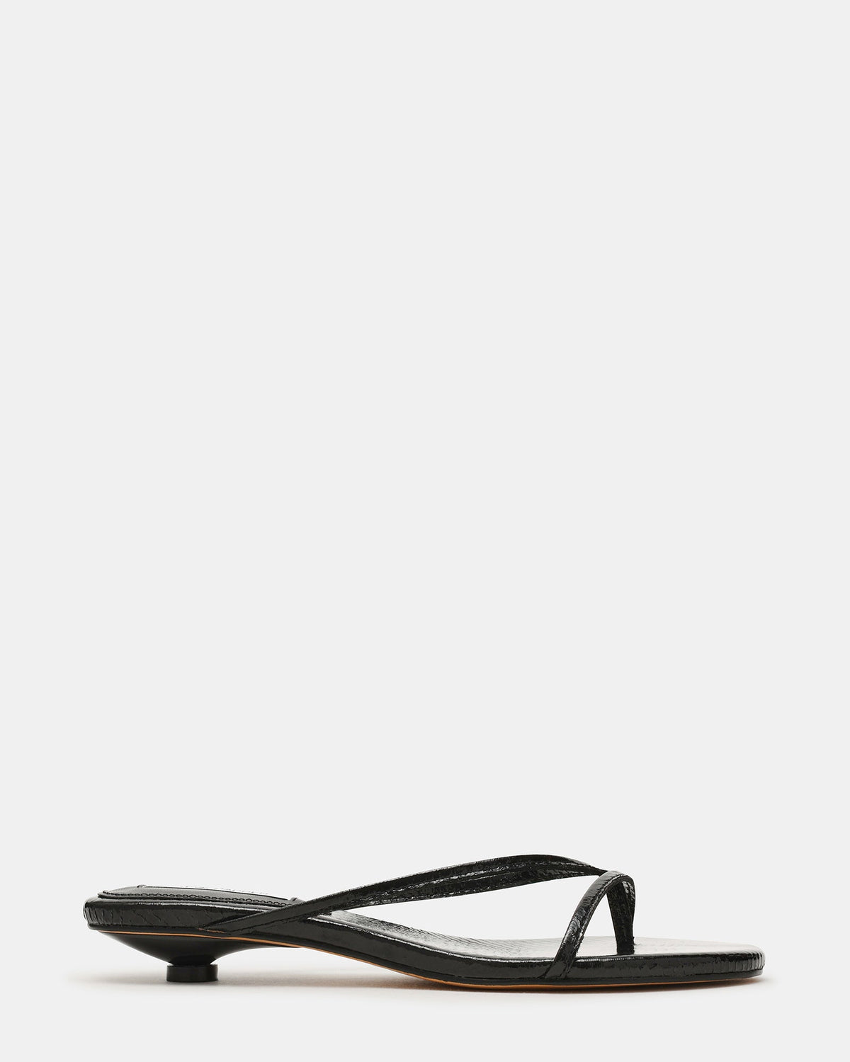 TERRY Black Snake Thong Women's Kitten Heel | Steve Madden